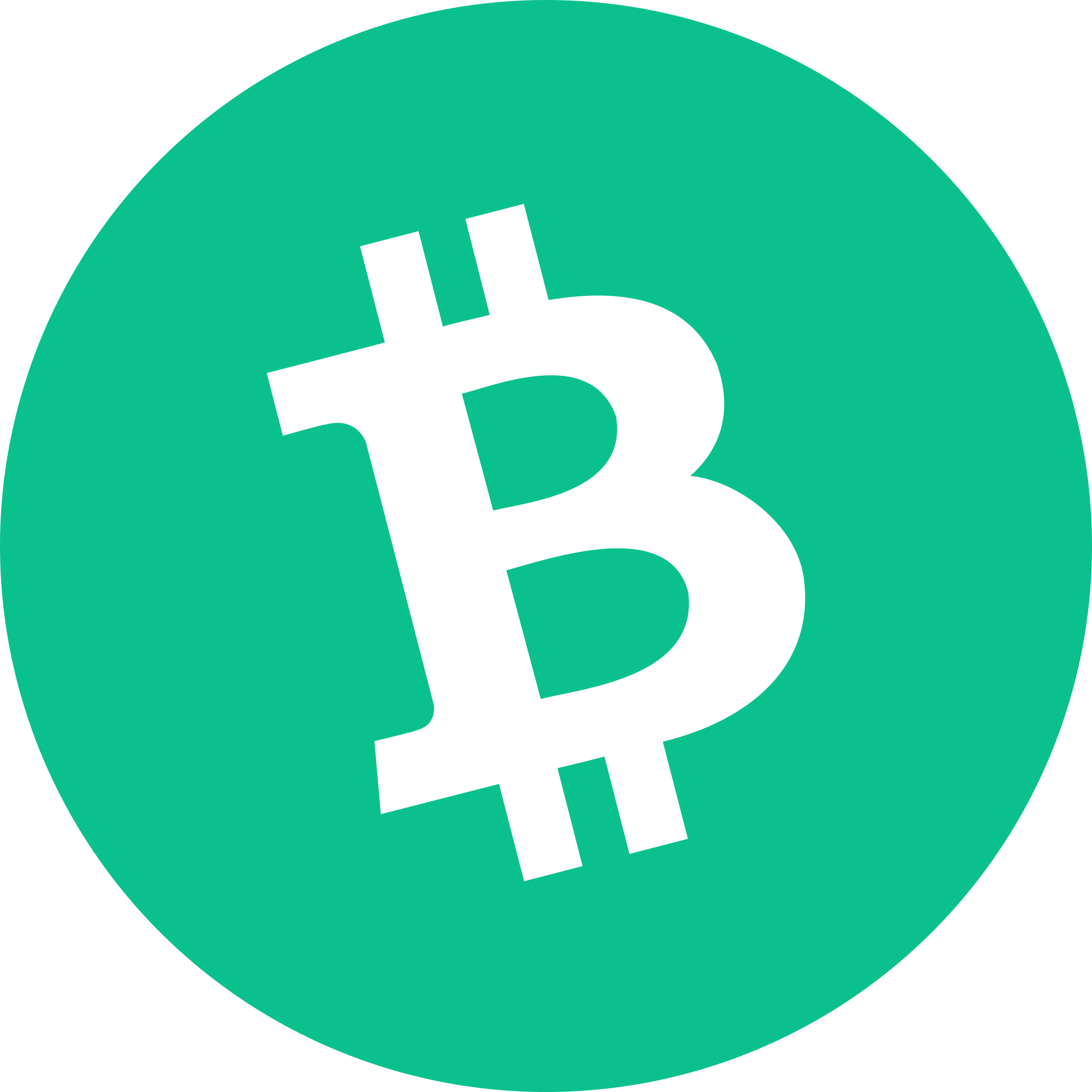 BCH Logo